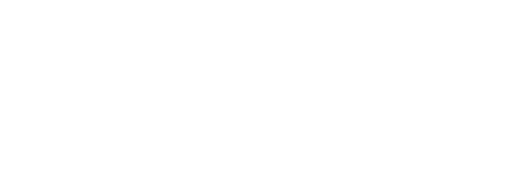 TOPFANZ-logo_POSNAAM